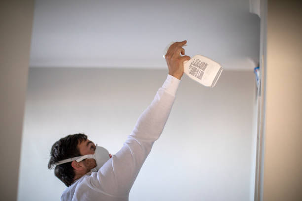 Attic Mold Removal in Richland, WA