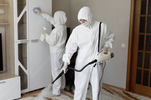 Best Fast Mold Removal  in Richland, WA